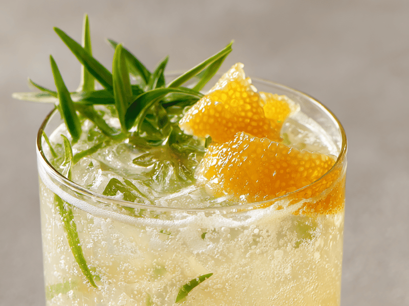 Gin Cítrico com Twist de Maçã
