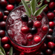 Peru com Cranberry e Vinho do Porto