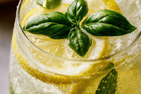 Sangria branca fresca