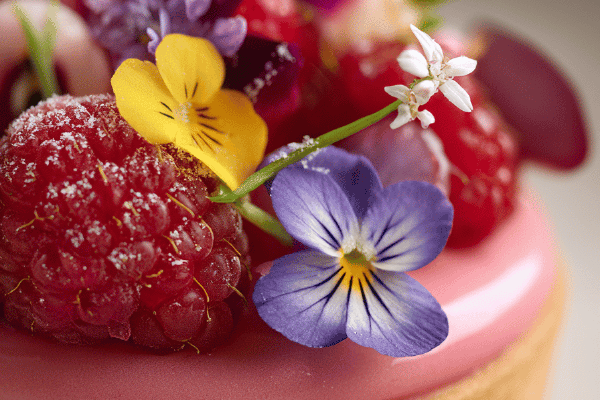 Tartelettes mousse framboesa-rhubarbe