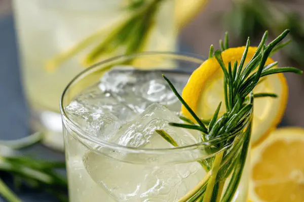 Gin com Pepino Refrescante