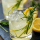 Gin Cítrico com Twist de Maçã